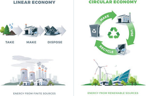 Paper and the Circular Economy: Why Your Parking Tickets & Receipts Rolls are Truly Sustainable